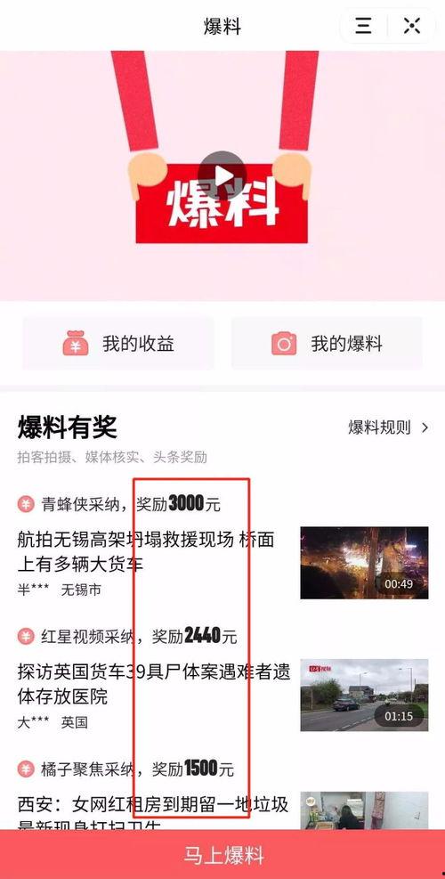 头条爆料视频要审核多久,约需1-2小时  第2张